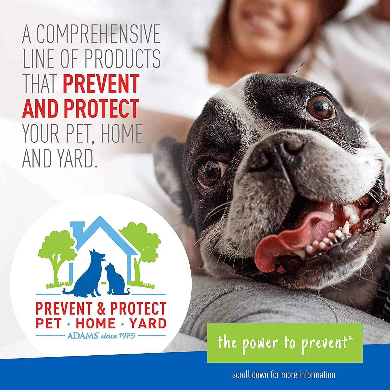 ADAMS Plus Flea & Tick Shampoo with Precor for Cats, Kittens, Dogs & Puppies Over 12 Weeks Of Age, Sensitive Skin Flea Treatment, 12 oz