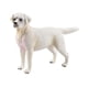 thumbnail image 3 of Figura de perro grande de simulación Figura de acción de cachorro de emulación muy detallada labrador blanco, 3 of 9