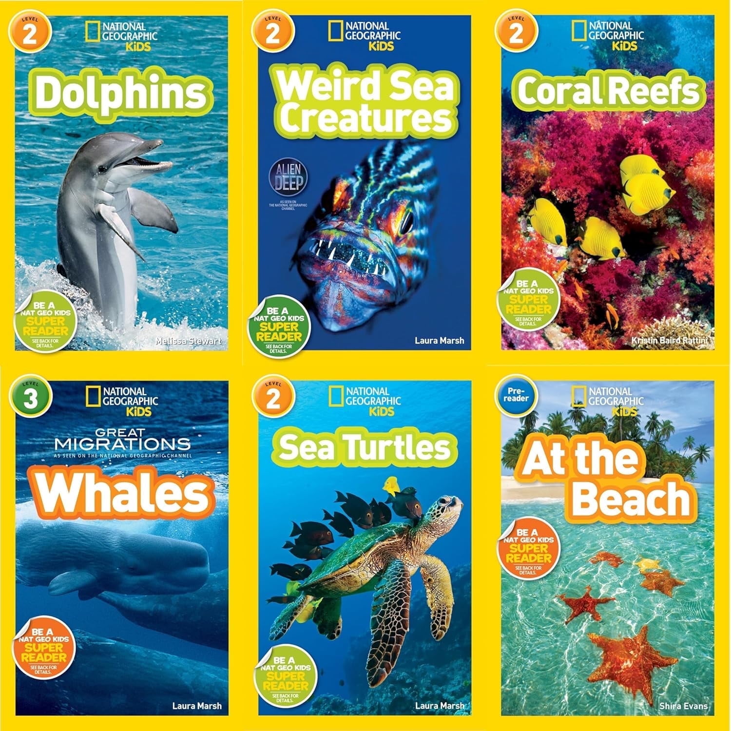 National Geographic Kids Ocean Life Six Book Set : Weird Sea Creatures, Dolphins, Coral Reefs, At the Beach, Sea Turtles, Great Migrations: Whales Paperbacks C