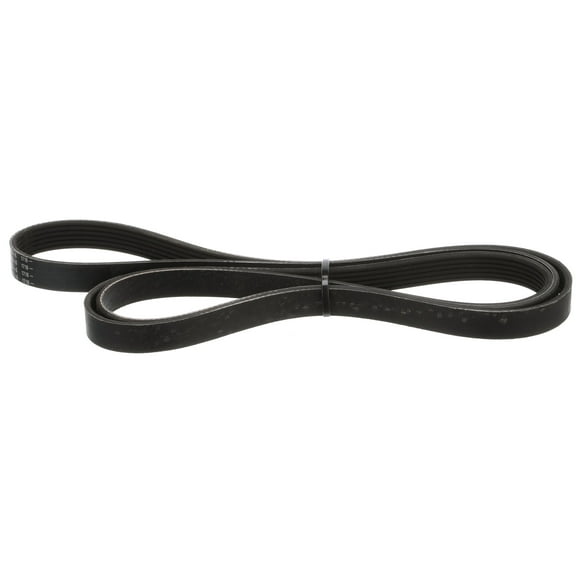 Quicksilver 807755Q04 Serpentine Belt, 2,240mm Long