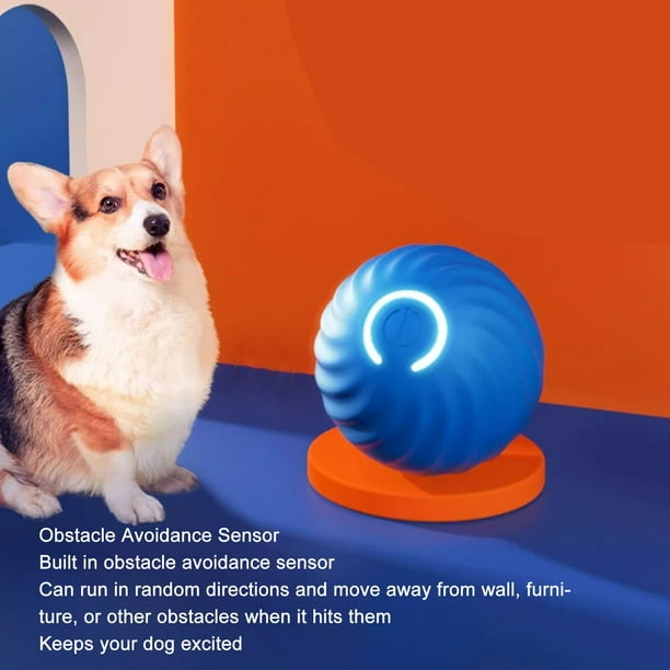 Dog ball that bounces in different directions outlet