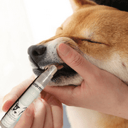 Dental Sprays for Dog Teeth Cleaning Spray Oral Hygiene for Pets,Dog Breath Freshener: Eliminate Bad Breath and Prevent Oral Disease