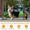 thumbnail image 6 of Uxcell Belly Bands for Male Dogs, Reusable Washable Dog Diapers High Absorbing Wrap Diapers, (3Pcs, M, Denim Color, Purple, Black), Intended for Male Small Doggie/Puppies Training, 6 of 7