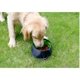 thumbnail image 4 of Cuenco impermeable plegable portátil para mascotas que salen 1 pieza negro, 4 of 5