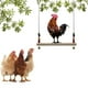 thumbnail image 4 of 2x Percha Hecha para Masticar Pájaros con Columpio de Pollo, 4 of 9