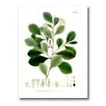thumbnail image 2 of Designart Vintage Botanicals IV Canvas Wall Art, 2 of 4