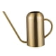 thumbnail image 1 of Maceta de riego de estilo moderno o para colgar plantas de interior, de acero inoxidable dorado, 1 of 9