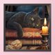 thumbnail image 2 of Cuadros Decorativos Bordado completo Gato negro estampado DIY Kits de punto de cruz 11CT regalos de costura JShteea  Nuevos Originales, 2 of 9