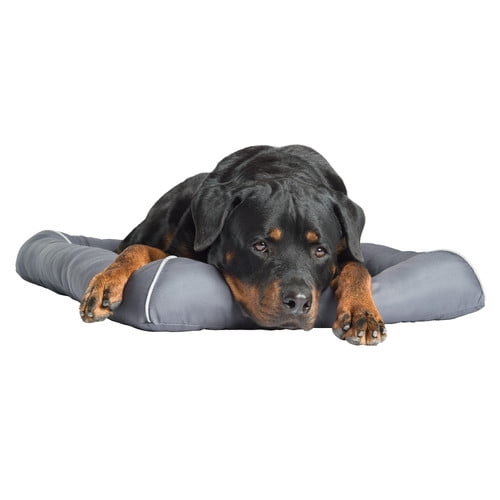 theracool dog bed