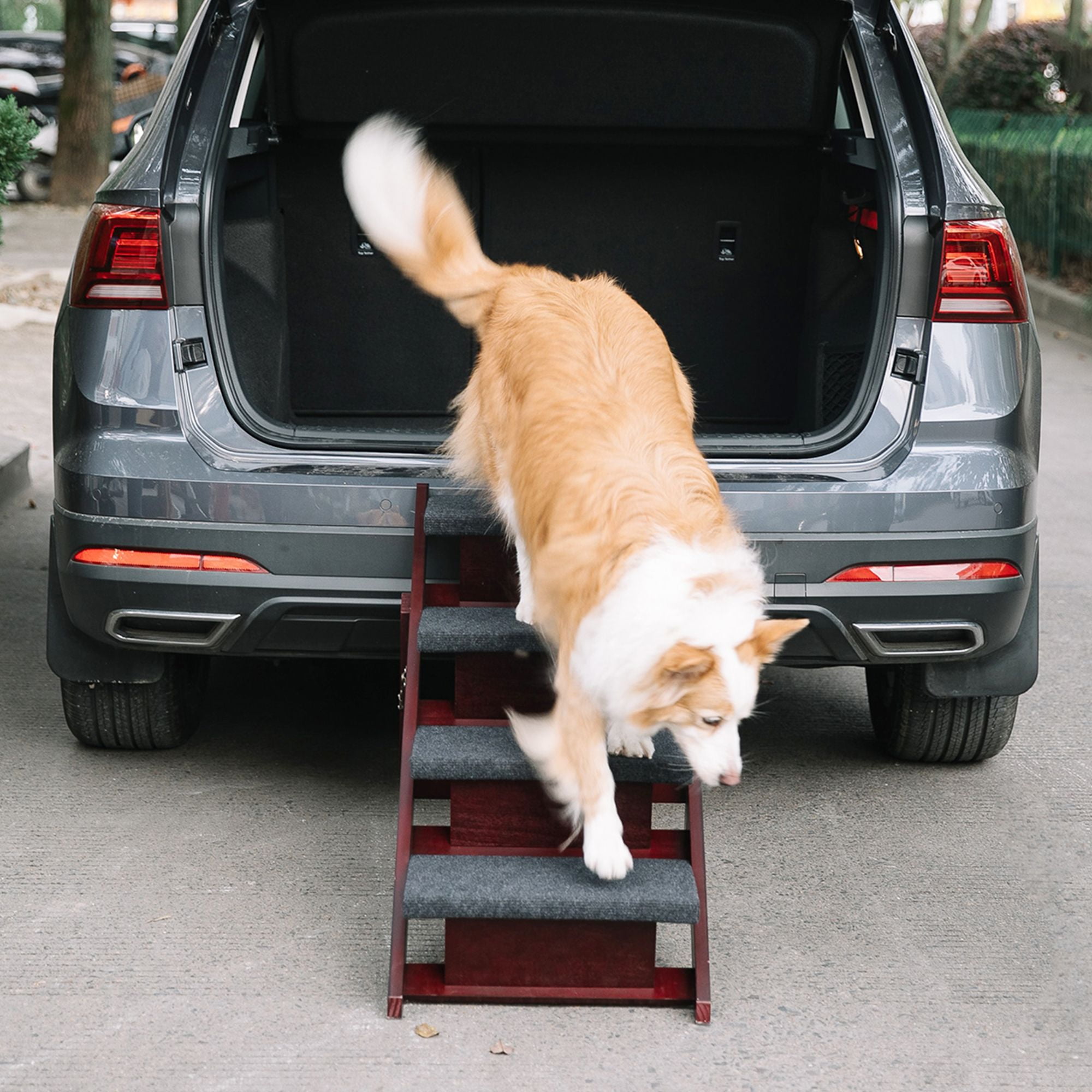 Pefilos Wood Pet Steps, Foldable 4 Steps Dog Stairs and Ramp Perfect for Beds and Cars, Portable Dog/Cat Ladder Up to 110 Pounds, Brown
