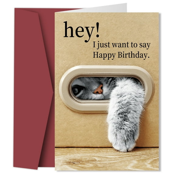 Funny Cat Birthday Card – Adorable Happy Birthday Greeting with Kitten Paw Design – Engaging Blank Inside Message – Perfect for Cat Lovers & Friends