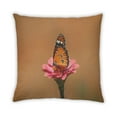 thumbnail image 2 of Ahgly Company Insects Butterfly Indoor Throw Pillow, 18 inch by 18 inch, 2 of 6
