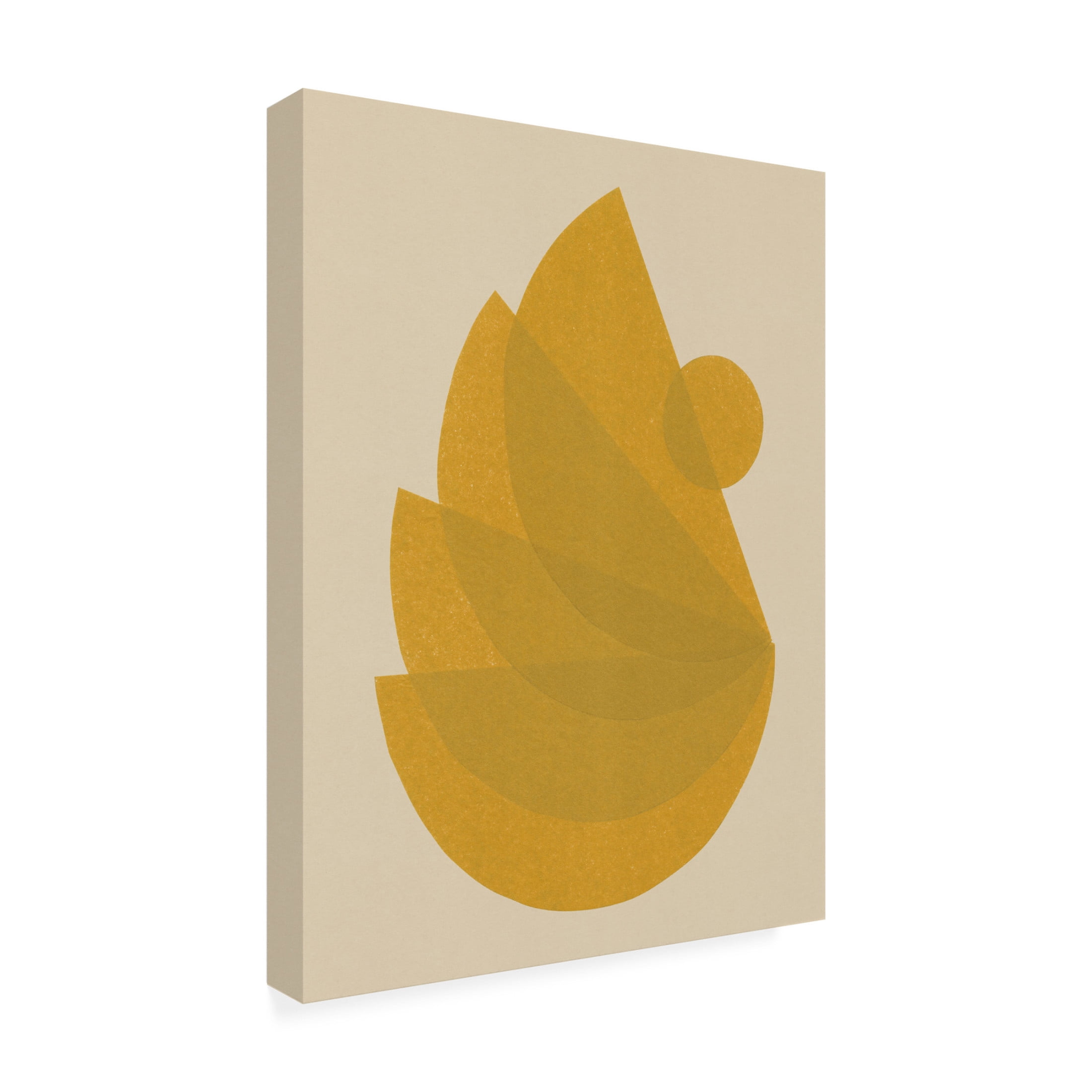 Trademark Fine Art Alisa Galitsyna Balanced Unbalance 1 Canvas Wall Art
