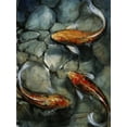 thumbnail image 2 of OToole, Tim 15x18 White Modern Wood Framed Museum Art Print Titled - Tres Koi I, 2 of 4