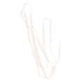 thumbnail image 3 of Adorno de encaje, cinta de encaje, hilo de algodón, artesanía, encaje, tela de encaje, logra más, 3 of 14