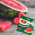 thumbnail image 3 of Jelly Belly Watermelon Flavored Gourmet Jelly Beans, 3.5oz. Bag, 2 Pack, 3 of 4