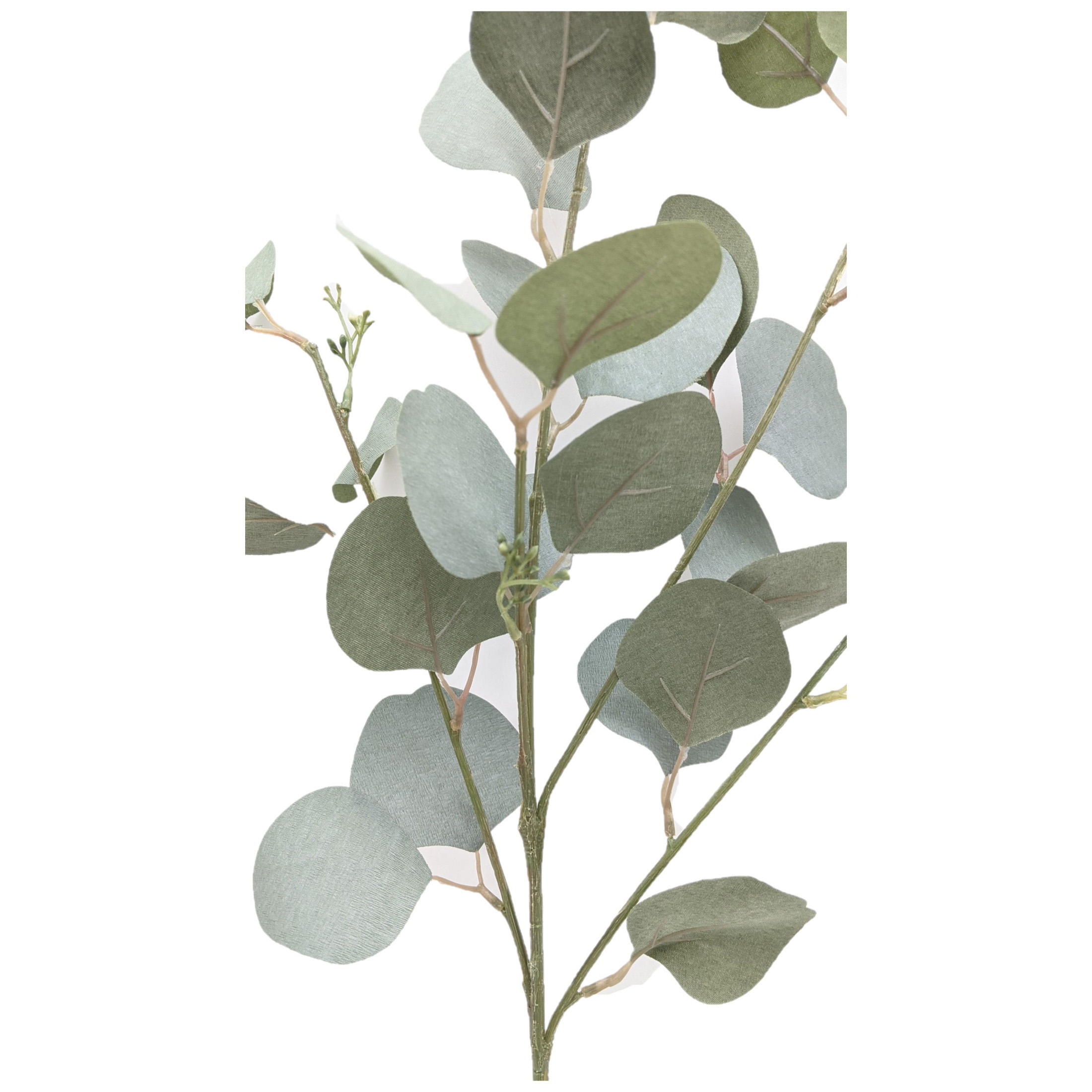 Mainstays Artificial Green Round Leaf Eucalyptus Stem, 34in Tall Floral Picks - image 2 of 5
