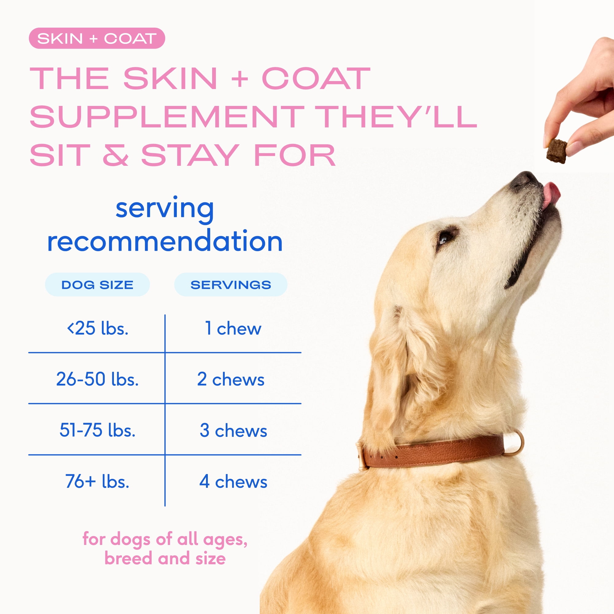 Native Pet Skin and Coat Chews for Dogs with Salmon Oil and Collagen for Healthy Skin and Shiny Coat, 60ct