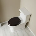 thumbnail image 2 of Jones Stephens Plumbing Dark Brown Elongated Comfort Seats Toilet Seat  C2B1E-1, 2 of 6