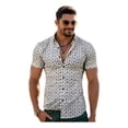 thumbnail image 1 of Camisa Hawaiana Camisa Estampada Hombre, 1 of 8