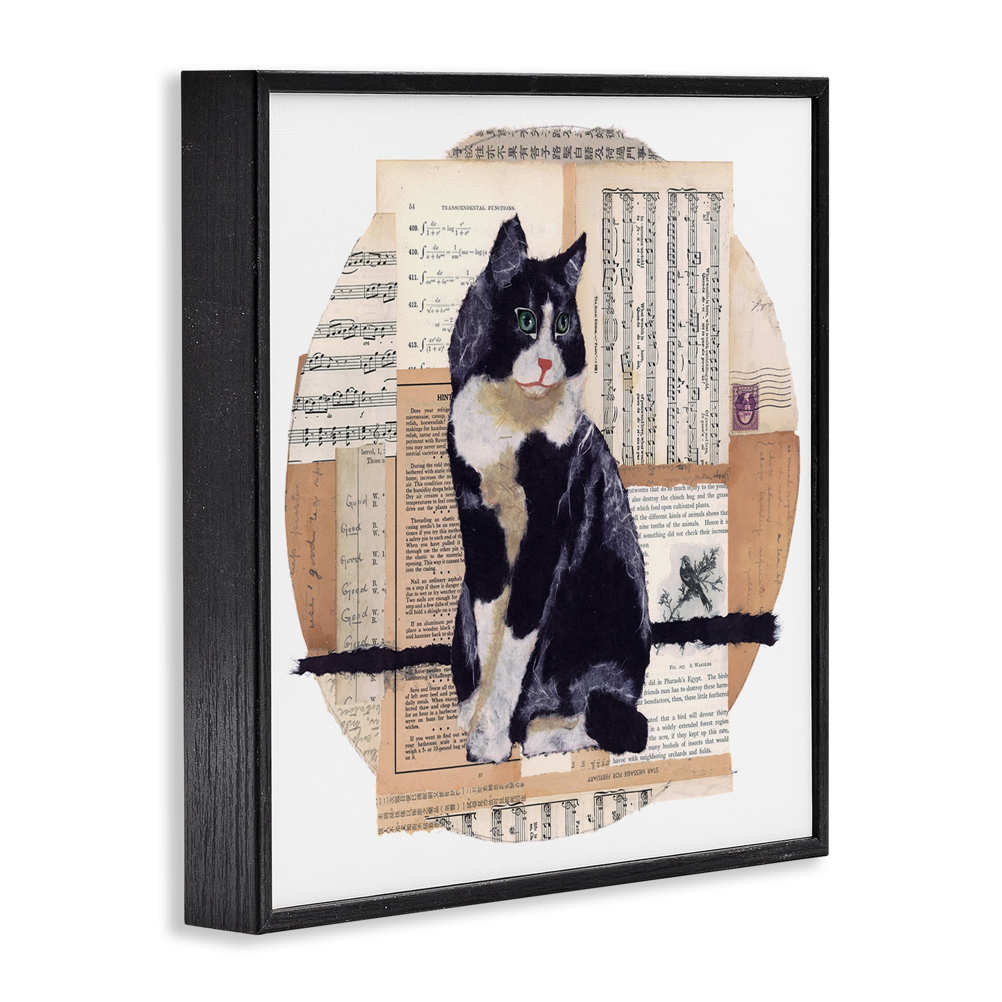 Stupell Industries Tuxedo Cat Collage Animals & Insects Painting Black Framed Art Print Wall Art, 12 x 12
