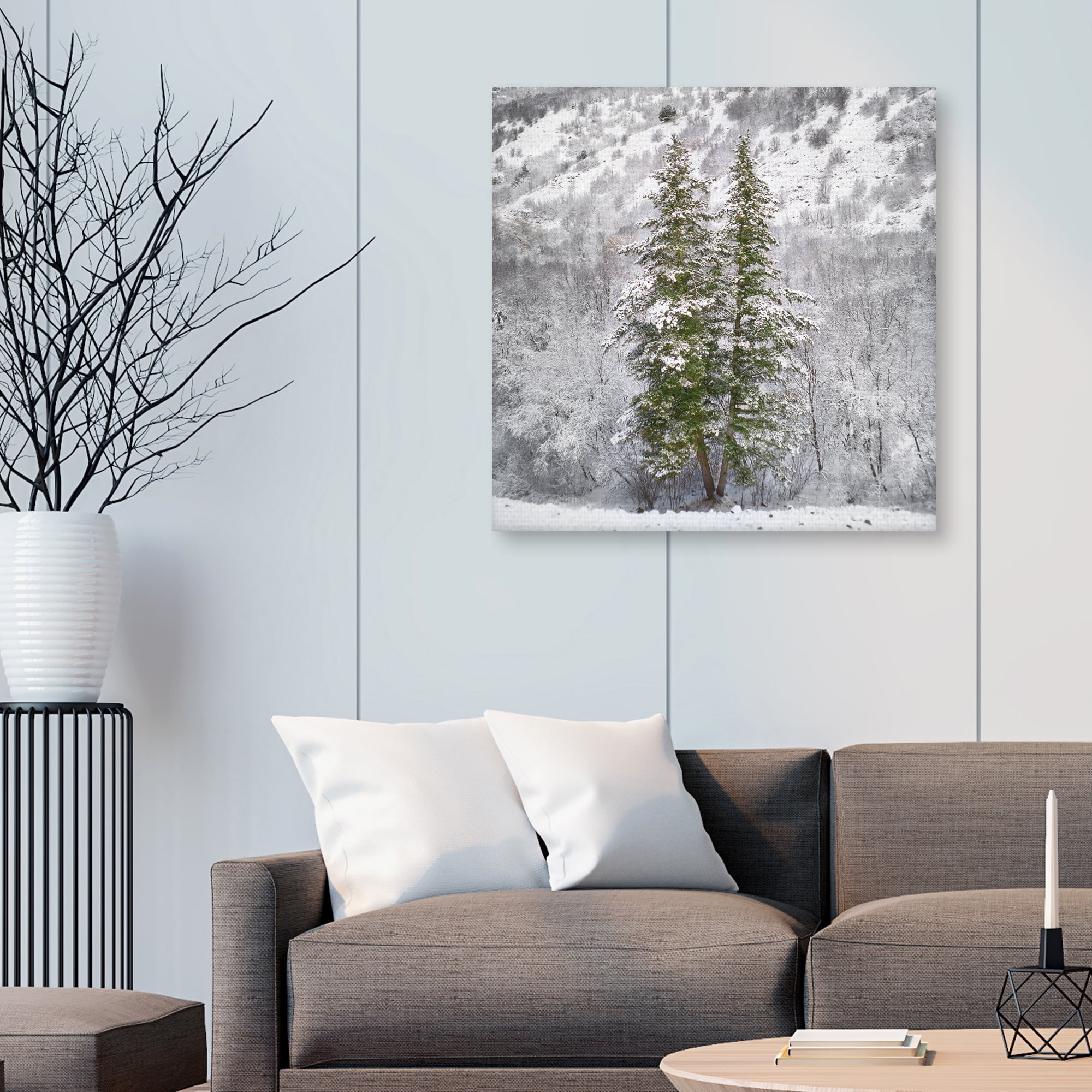 Snow Trees by Chris Dunker Canvas Art Print