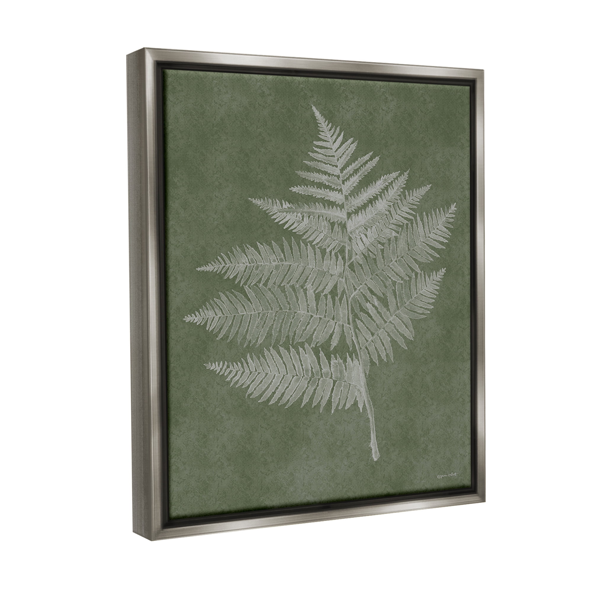 Stupell Industries Asymmetrical Fern Plant Botanical & Floral Painting Gray Floater Framed Canvas Art Print Wall Art, 25 x 31