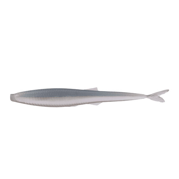 6th Sense Sketch Soft Bait, 4.3", Ghost Pro Shad