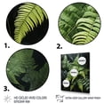 thumbnail image 3 of Designart "Dynamic Ferns Green and Black Contrast II" Floral & Botanical Floater Framed Wall Art Living Room, 3 of 7