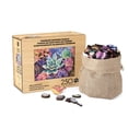 thumbnail image 1 of Rompecabezas Buffalo Games Succulent, 250 piezas, más de 14 años, 1 of 6