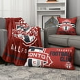 thumbnail image 2 of Oreiller de Corps MLS Toronto FC (18"x36") par Nemcor, 2 of 5