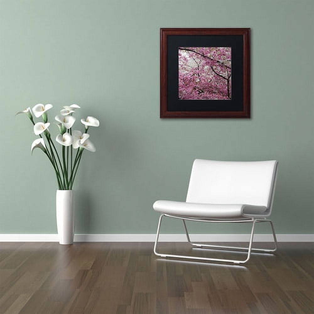Trademark Fine Art "Cherry Blossoms 2014-3" Canvas Art by CATeyes, Black Matte, Wood Frame