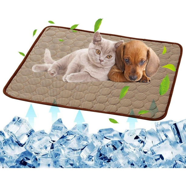 Cooling mat outlet for cats