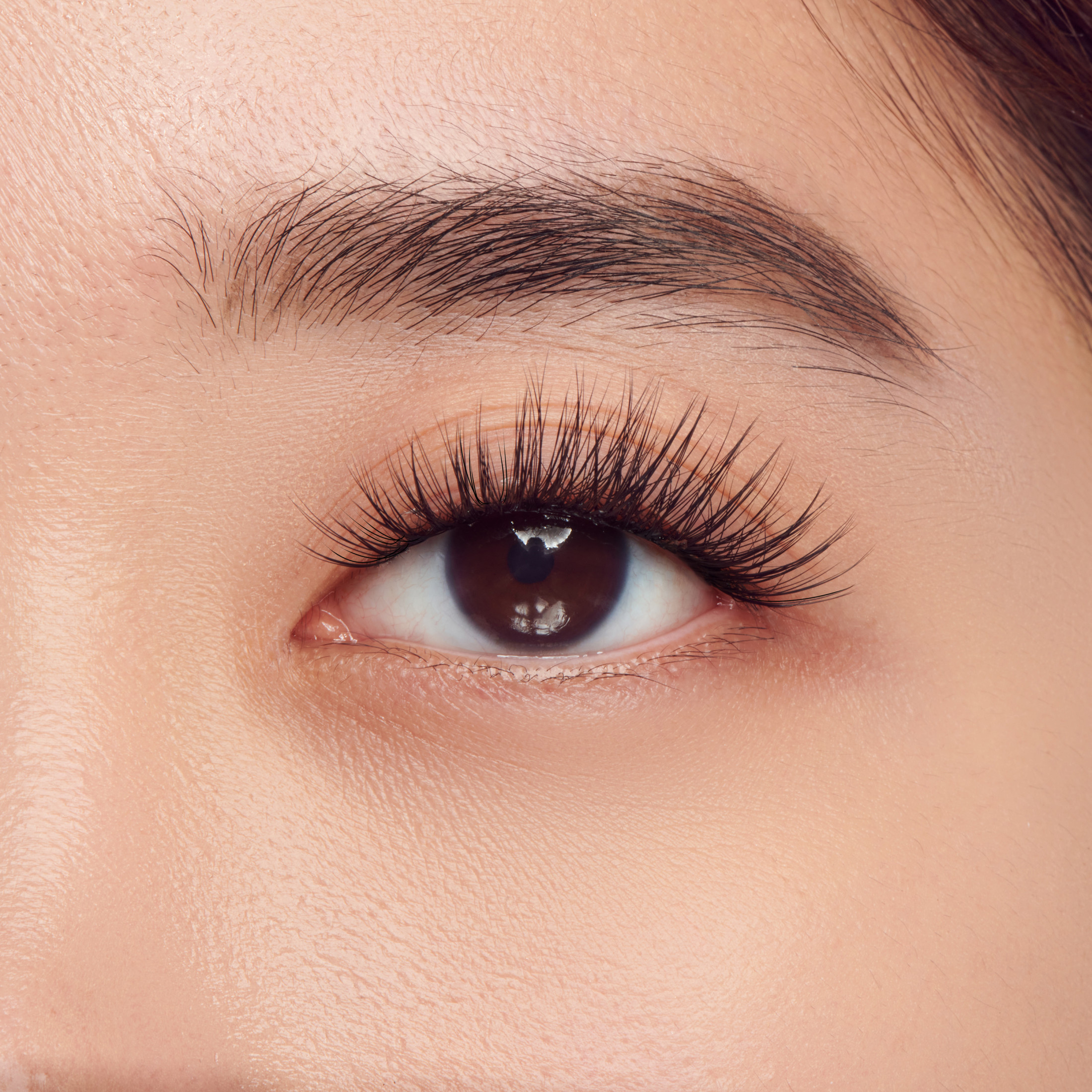 (3 pack) KISS Halloween Limited Edition Press-On Lash Extensions, Medium Volume, 9 Pcs.