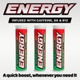 thumbnail image 3 of Xero Picks Energy Caffeine Flavored Toothpicks B12 for Focus & B6 (Watermelon, Pack of 3) Sugar-Free Alternative to Energy Mints & Gum - Kosher, 3 of 7