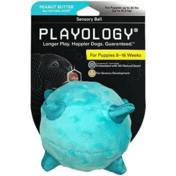 Playology Puppy Dog Ball Toys For Sensory Development, Small Stuffed