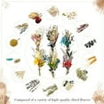 thumbnail image 2 of Artrylin Natural Dried Flower Bouquet Style B Wedding and Christmas Decor 6-Pieces, 2 of 8