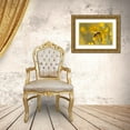 thumbnail image 3 of Jaynes Gallery 24x17 Gold Ornate Wood Framed with Double Matting Museum Art Print Titled - USA-New Mexico-Honey bee on rabbitbrush, 3 of 4