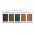 thumbnail image 4 of Palette de 5&nbsp;Panelles avec Icône de Couleur, 4 of 9