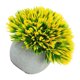 thumbnail image 5 of Planta de bola en maceta artificial Mesa para el hogar Escritorio Decoración de planta falsa Hierba de bola de plástico con maceta de papel, Amarillo Inevent HA6791-03B, 5 of 7