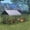 Black-86"x40"x40", variant on Metal Chicken Coop with Run for Yard, 86"x40"x40" Portable Poultry Cage with Waterproof Cover, Outdoor Chicken Cage for Backyard Farm Chicken Rabbit Duck