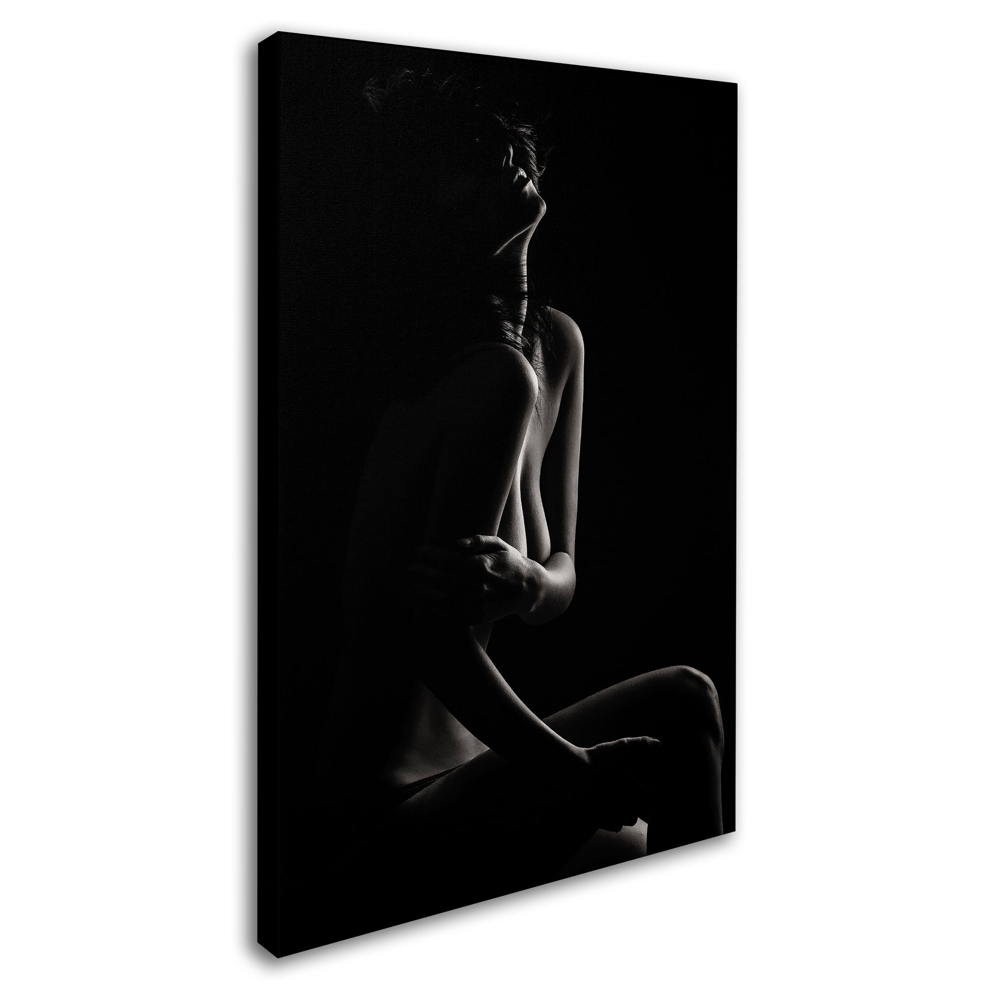 Trademark Fine Art 'Sensual Beauty' Canvas Art by Martin Krystynek Qep