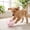 White, variant on Motorized Rolling Cat Toys For Indoor Cats Hamster, Interactive Stuffed Cat Toy Electronic Pet Companion, Kitten Toys for Kids Active Cute Entertainment