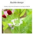 thumbnail image 5 of Plant Support Garden Clips - Tomato Trellis Clips for Vine Vegetables, Adjustable Plant Holding Clips to Train Climbing Plants to Grow Upright(100PCS), 5 of 7