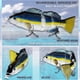 thumbnail image 4 of Cebo eléctrico para nadar, segmento robótico, señuelo de pesca con carga USB, 4 of 12