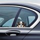thumbnail image 1 of Pegatinas de papel para decoración de perros para carrocería de coche, portátil, motocicleta, impermeables, 1 of 6