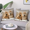 thumbnail image 6 of Yeciiwht Cute Animals Print Pillow Covers 18x18 Inches Decorative Throw Pillow Covers, Bedroom Living Room Sofa Cushion Covers Soft Cozy Pillow Case for Home Decoration, 6 of 6
