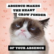 Grumpy Cat 2026 Wall Calendar, (Paperback)