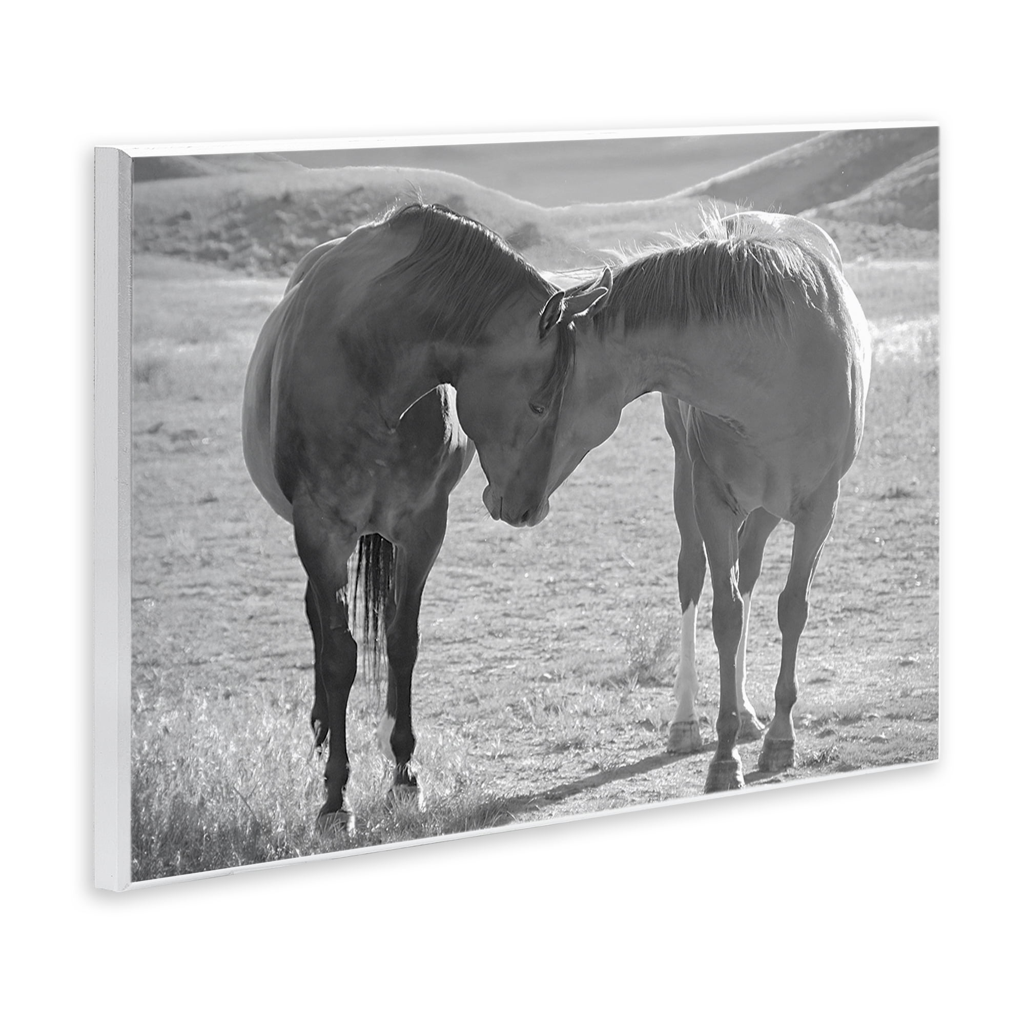 Stupell Industries Sweet Nothings Bond Between Horses Wall Plaque Art, design by Steve Toole