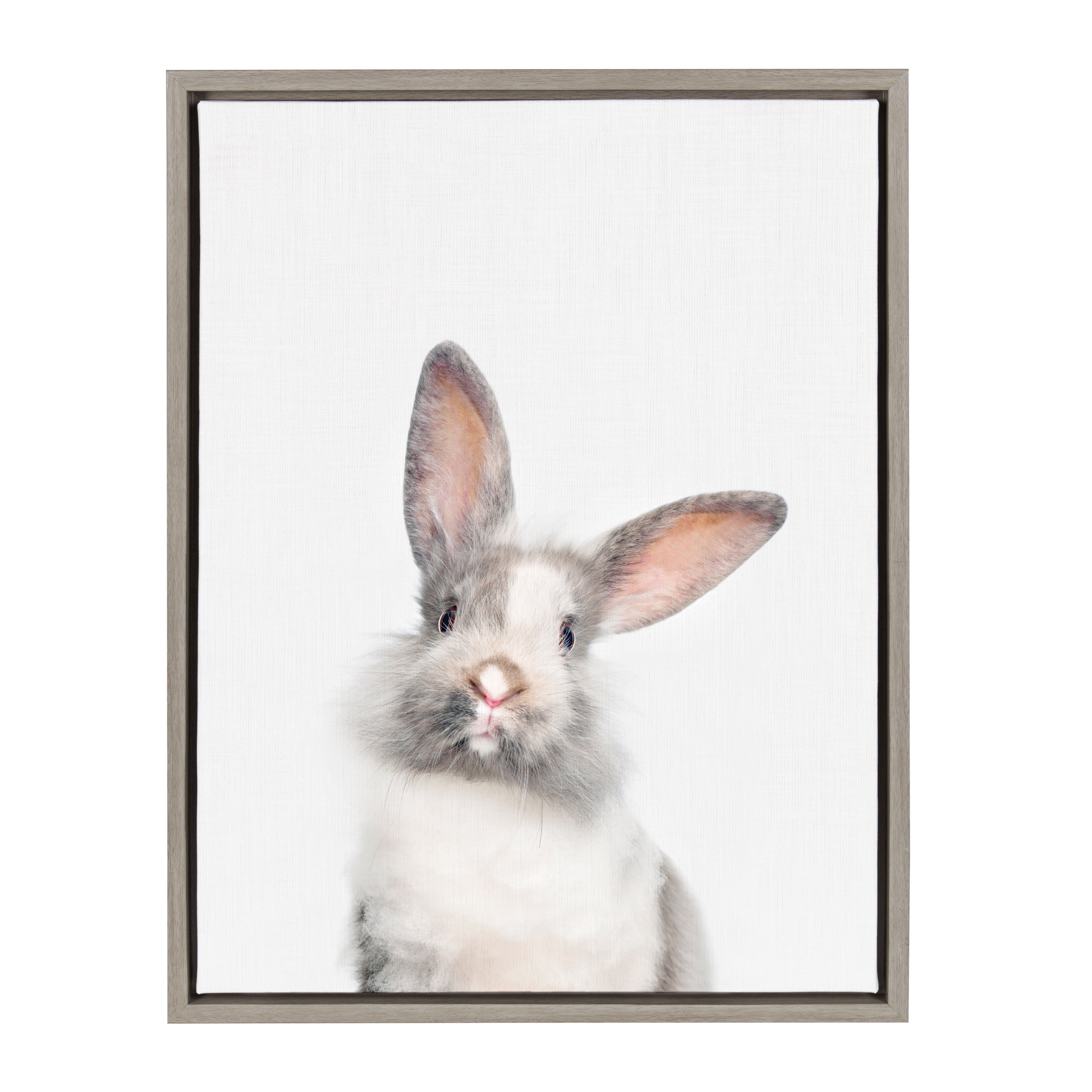 Kate and Laurel Sylvie Baby Bunny Rabbit Animal Print Portrait Framed Canvas Wall Art by Amy